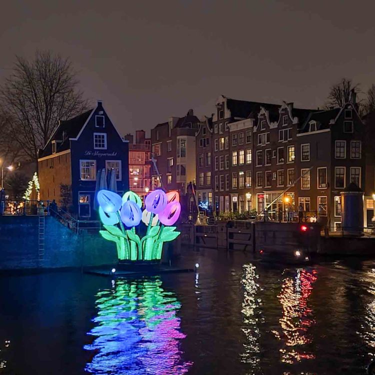Amsterdam Light Festival - Tulips and houses- Discover True Netherlands