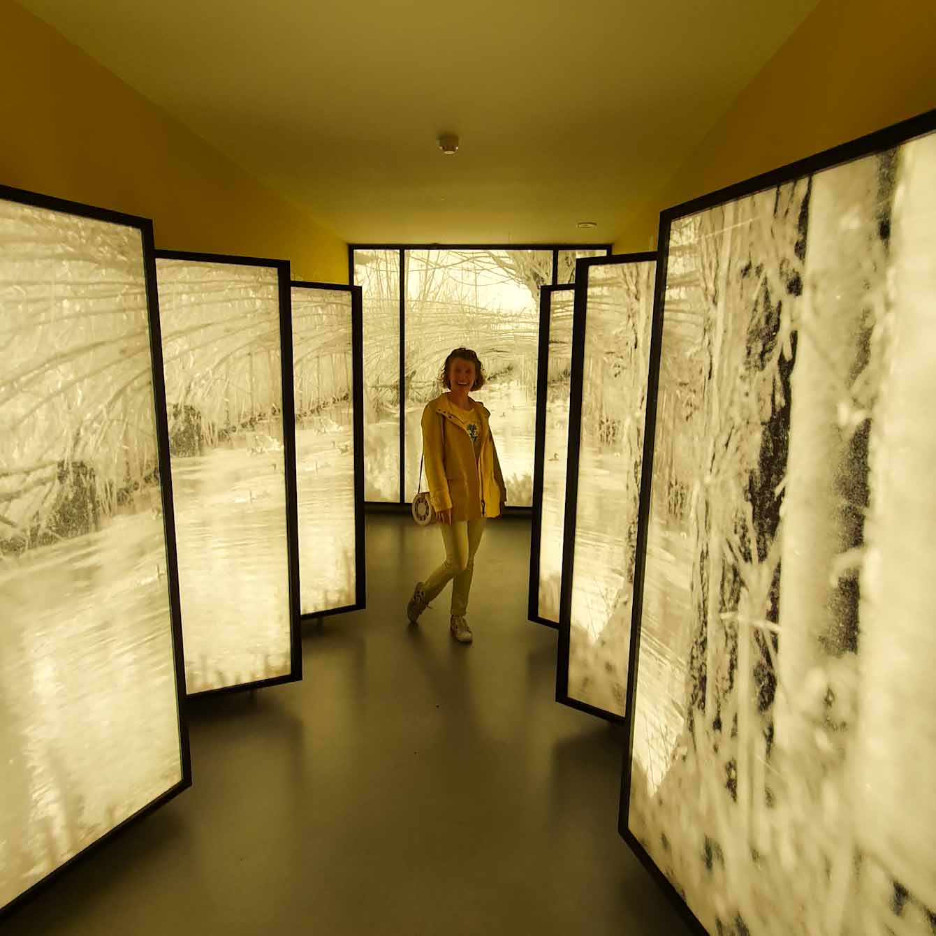 Biesbosch Museum Island - exterior - Discover True Netherlands