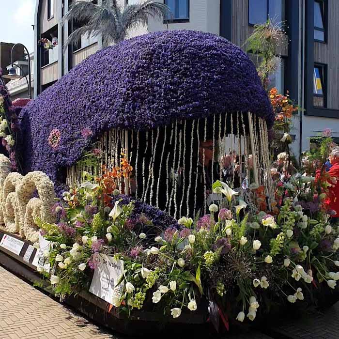 Bloemencorso Flower Parade - Giant flower wheel - Discover True Netherlands