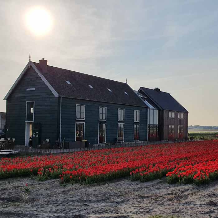 De groene bollenschuur BB - Discover True Netherlands