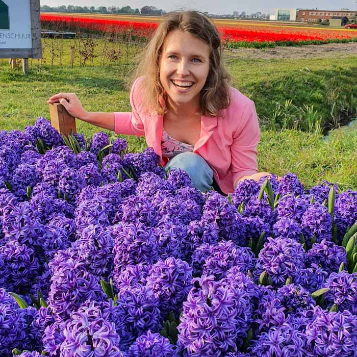 De groene bollenschuur BB - I smille in the hyacinths - Discover True Netherlands