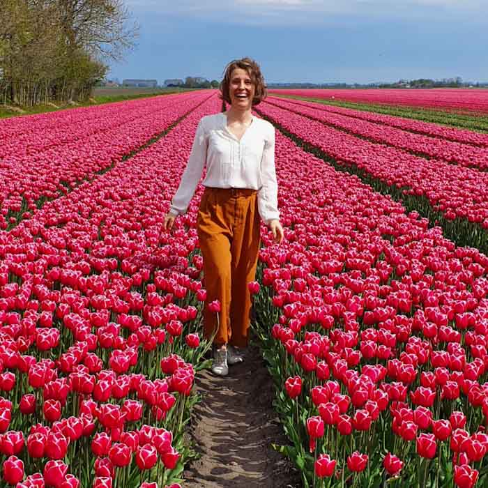 Flevoland tulip fields- Jumping in pink tulips - Discover True Netherlands