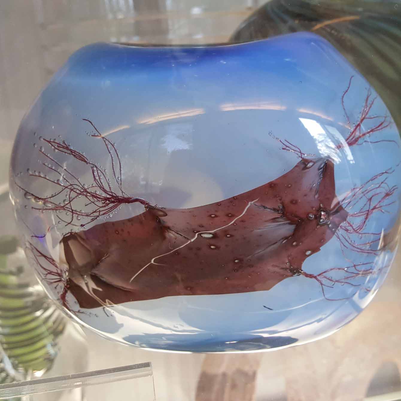 Glass Museum in Leerdam - blue glass vase - Discover True Netherlands