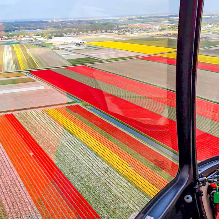 Helicopter flight over the tulip fields- Red tulip fields- Discover True Netherlands