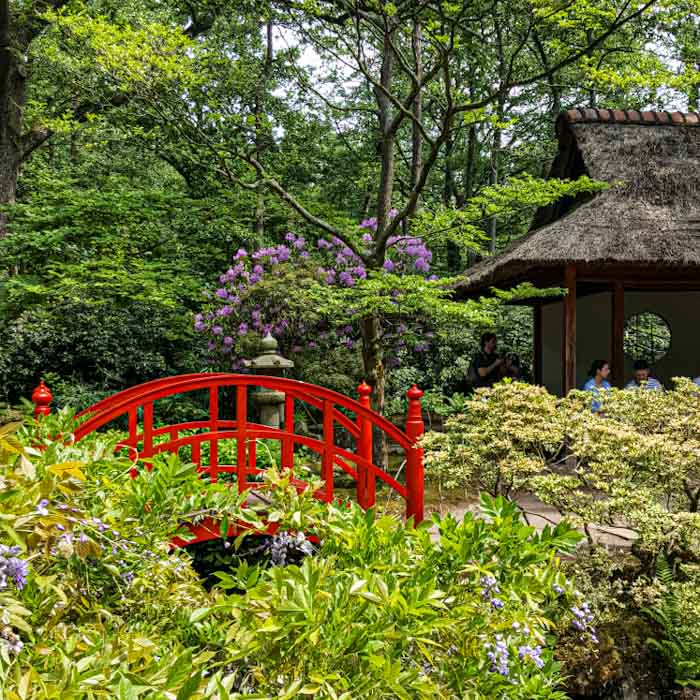 Japanese Garden in Den Haag - Discover True Netherlands