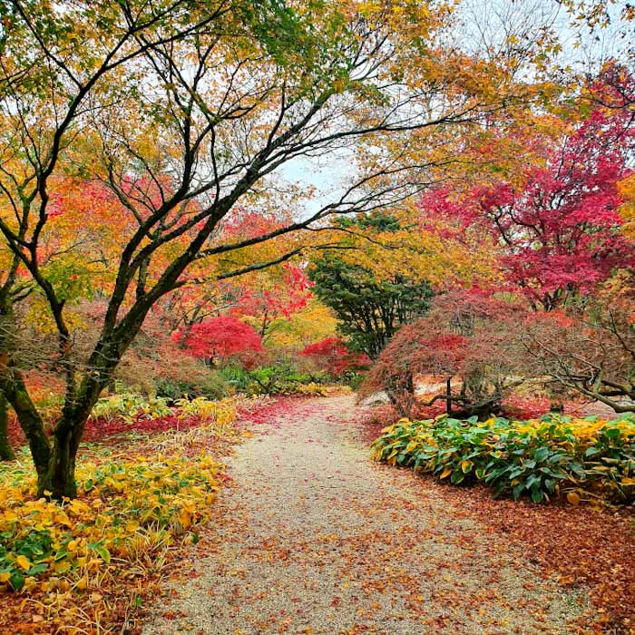 Kasteeltuinene Arcen - Castle gardens Arcen - Autumn colours - Discover True Netherlands