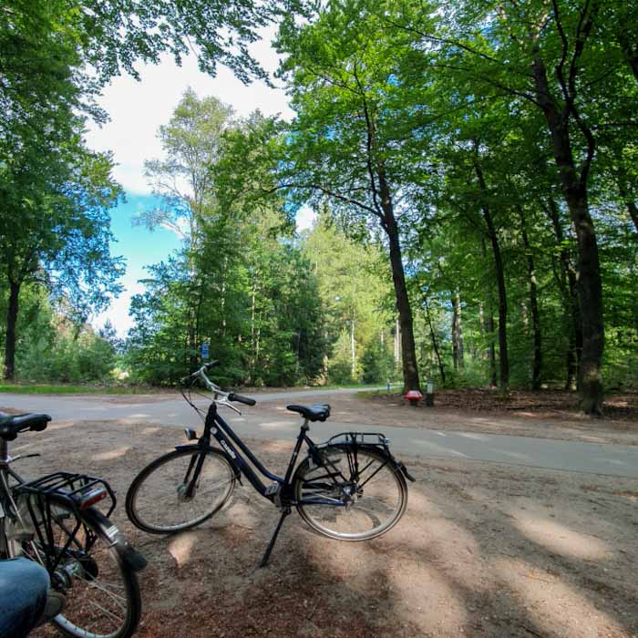 Verscholen dorp- Biking in the Veluwe National Park - Discover True Netherlands