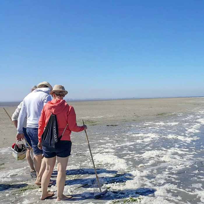 Wadlopen- Mudwalking -People walking on the island- Discover True Netherlands