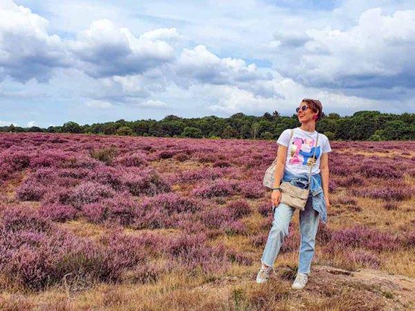 👍 Our favorite Heather Fields in the Netherlands 