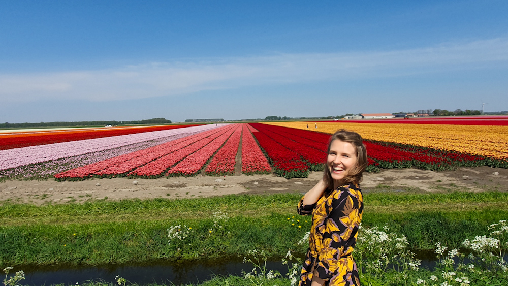Tulip Fields 2- Discover True Netherlands - cover