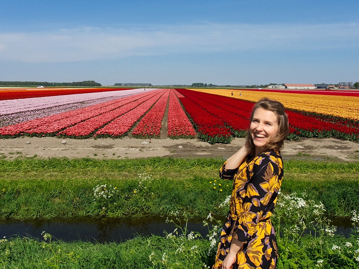 👍 My Top Places to see Tulips in the Netherlands (all info in one place) 