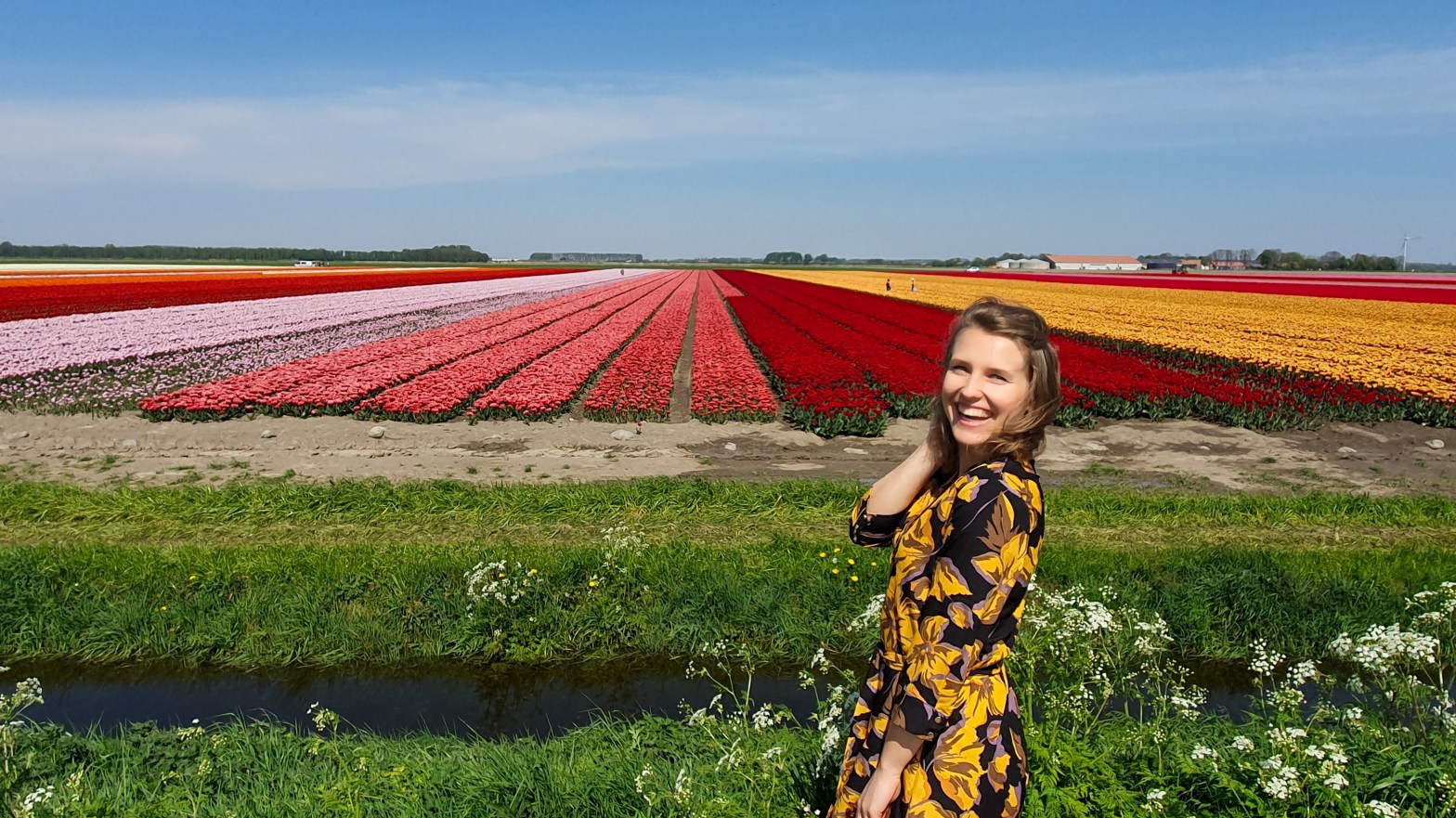 Tulip Fields - Discover True Netherlands - full image